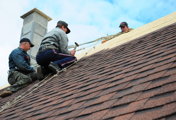 Best Metal Roofing Contractor  in Ladysmith, WI
